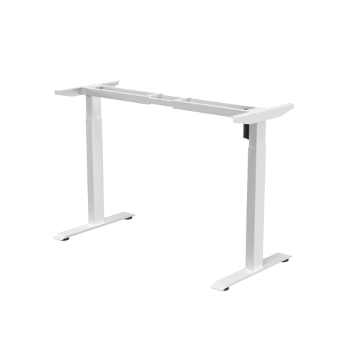 foto25.png